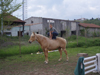 Foto varie di ElGuado